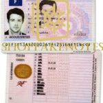 Buy French Driver’s License
